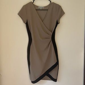 Fitted Dress Size Medium